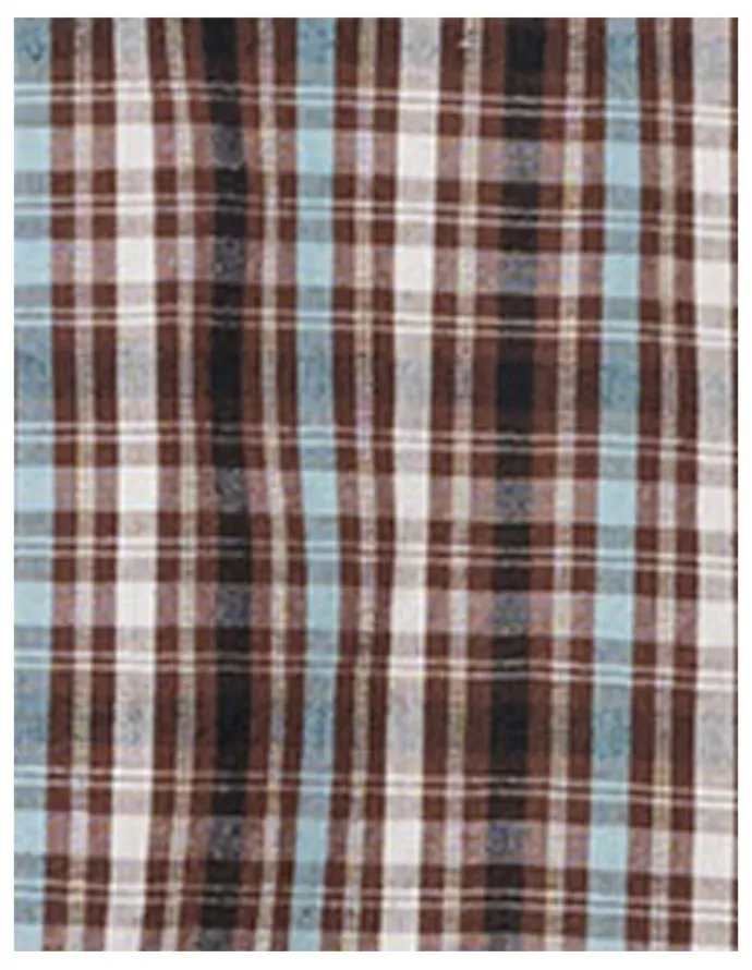 ABrand Jeans Bobby Check Shirt
