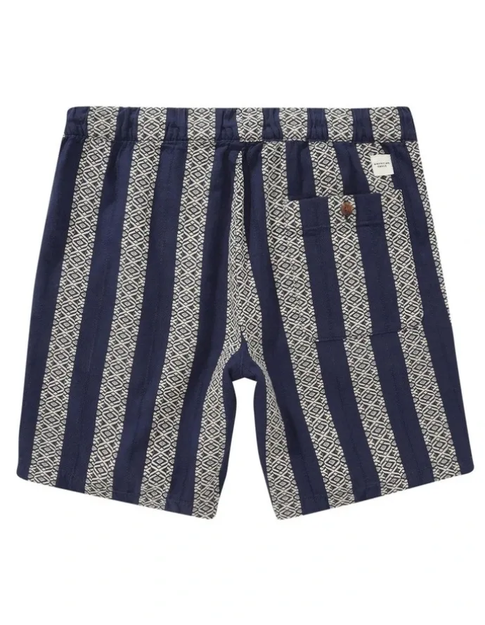 American Eagle 8 Trekker Short in Navy