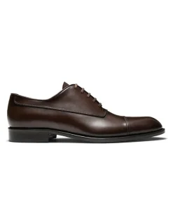 Aquila Ashton Oxford Shoes in Brown
