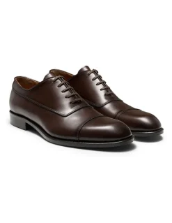 Aquila Ashton Oxford Shoes in Brown