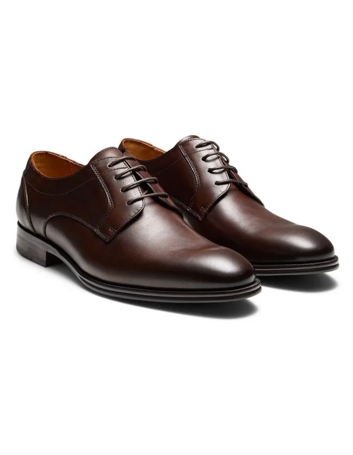 Aquila Barney Derby Shoes in Brown
