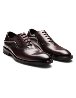 Aquila Bonham Oxford Shoes in Brown