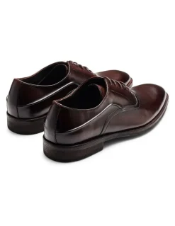 Aquila Bonham Oxford Shoes in Brown