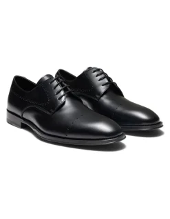 Aquila Cortland Brogue Derby Shoes in Black