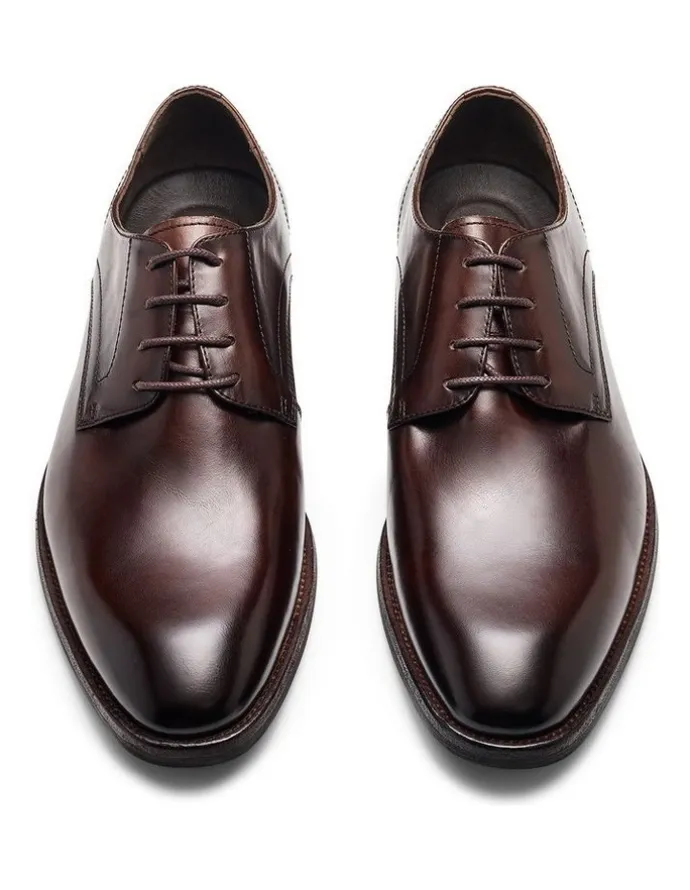 Aquila Daltrey Derby Shoes in Brown
