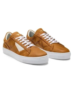 Aquila Deco 2.0 Mondiale Shoes in Tan
