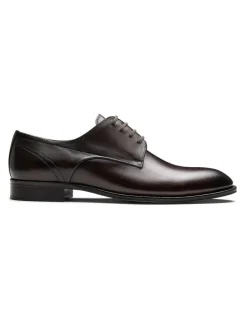 Aquila Dyer Derby Shoes in Brown