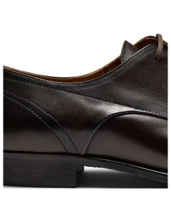 Aquila Dyer Derby Shoes in Brown