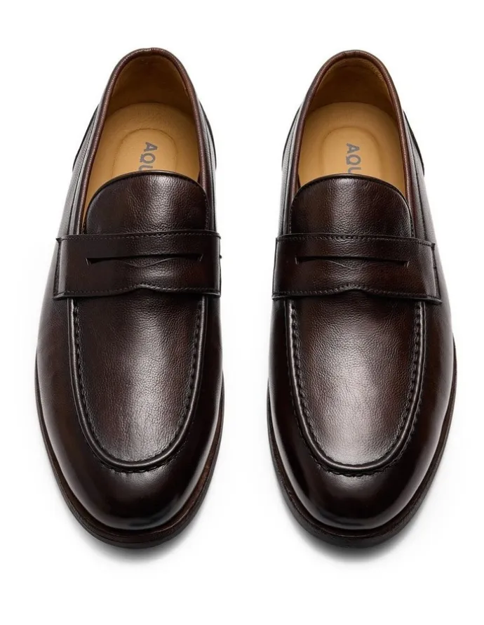 Aquila Elton Penny Loafers in Brown