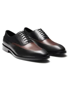 Aquila Fulton Oxford Shoes in Brown Mult