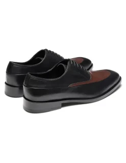 Aquila Fulton Oxford Shoes in Brown Mult