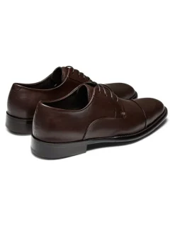 Aquila Grantham Derby Shoes in Brown