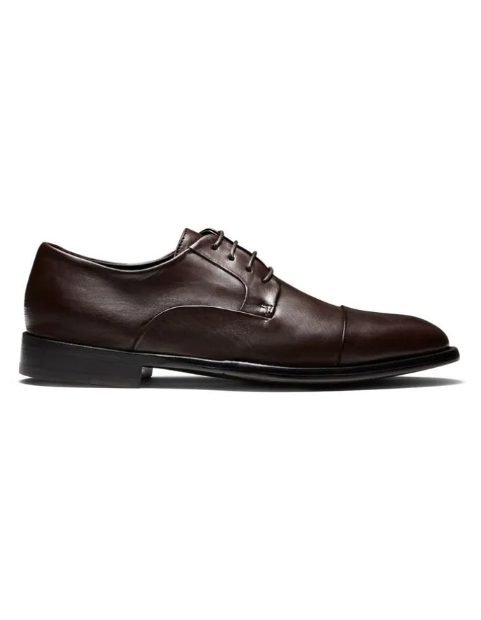 Aquila Grantham Derby Shoes in Brown
