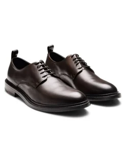 Aquila Hank Derby Shoes in Brown