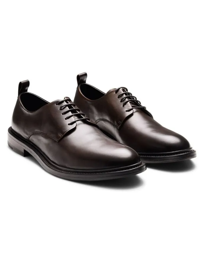 Aquila Hank Derby Shoes in Brown