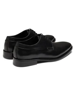 Aquila Langley Derby Shoes in Black