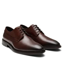 Aquila Langley Derby Shoes in Brown