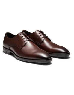 Aquila Magnus Derby Shoes in Brown