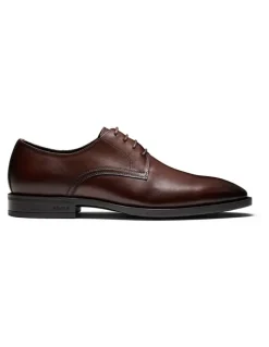 Aquila Magnus Derby Shoes in Brown