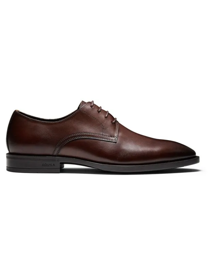 Aquila Magnus Derby Shoes in Brown