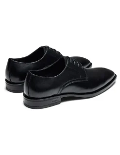 Aquila Magnus Derby Shoes in Black