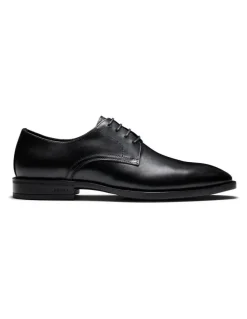 Aquila Magnus Derby Shoes in Black