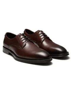Aquila Salisbury Derby Shoes in Brown