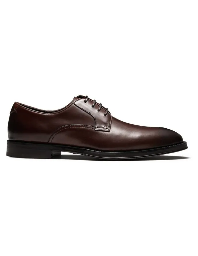 Aquila Salisbury Derby Shoes in Brown