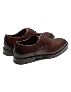 Aquila Salisbury Derby Shoes in Brown
