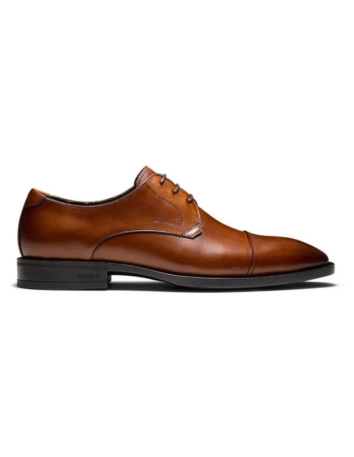 Aquila Stuart Derby Shoes in Tan
