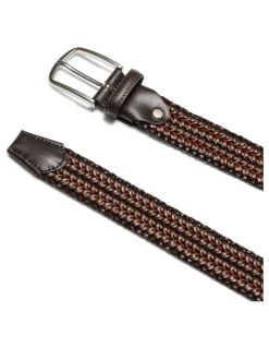 Aquila Vacanza Leather Belt in Brown