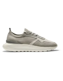 Aquila Venice Sneakers in Grey