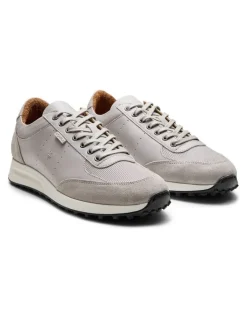 Aquila Apollo Sneakers in Light Grey