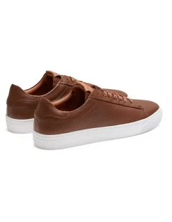 Aquila Deco 2.0 Leather Sneakers in Tan