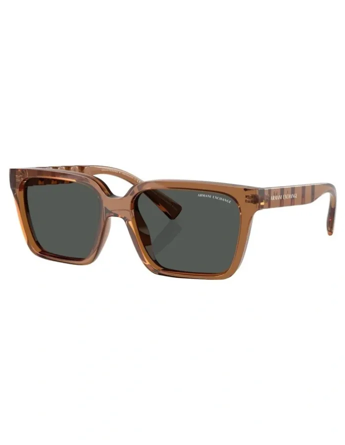 Armani Exchange Injected Sunglasses in Brown