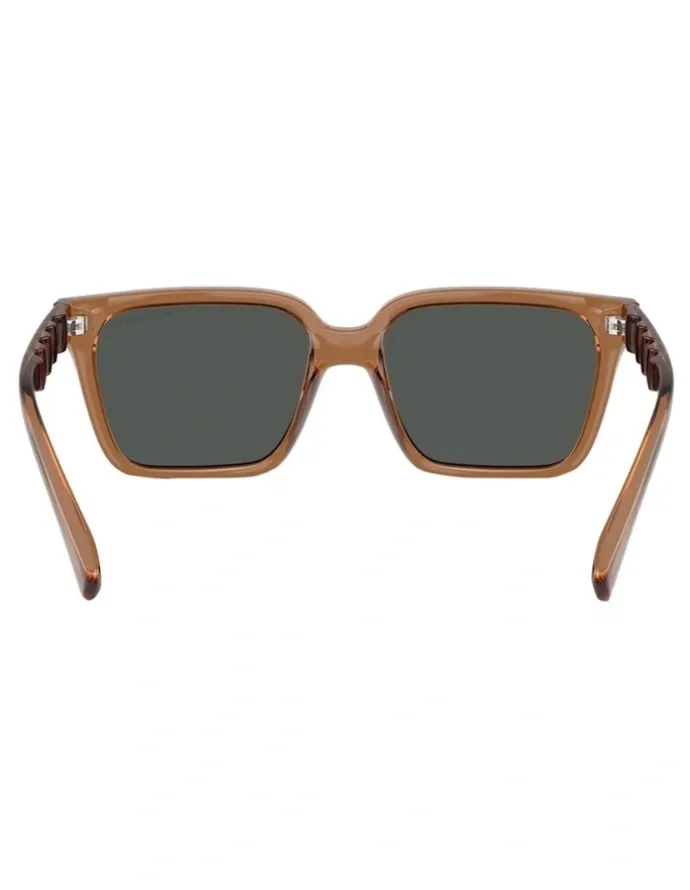 Armani Exchange Injected Sunglasses in Brown