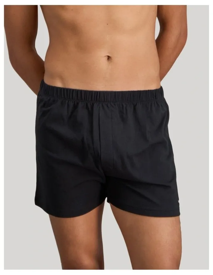Bendon Man Cotton Basics Mens Trunk in Black
