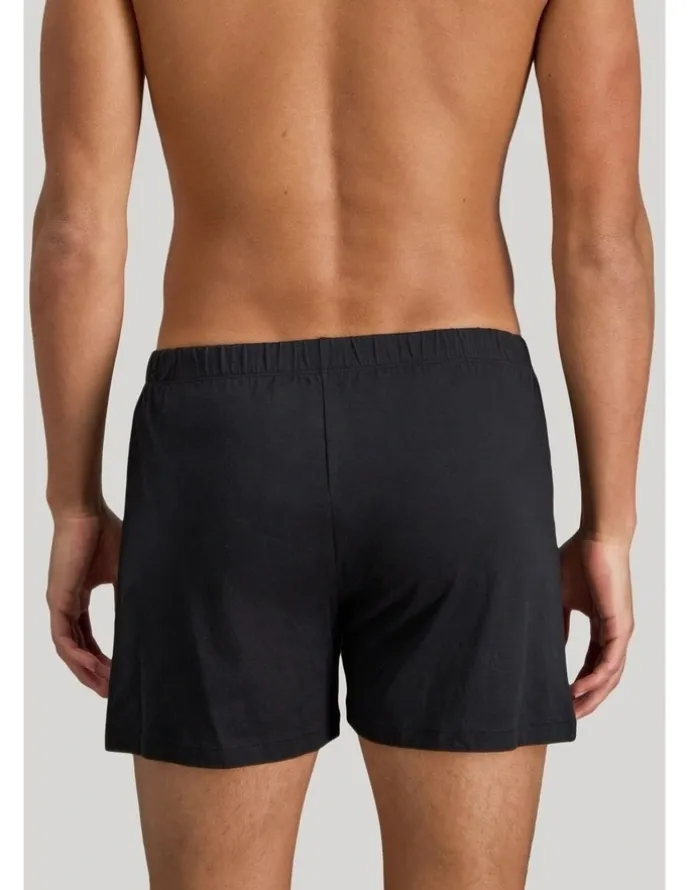 Bendon Man Cotton Basics Mens Trunk in Black