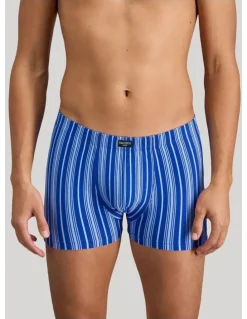 Bendon Man Cotton Stretch Mens Trunk in Surf The Web Stripe