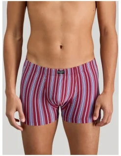 Bendon Man Cotton Stretch Mens Trunk in Tibetan Red Stripe