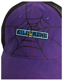 Billabong Web Trucker Cap in Multi