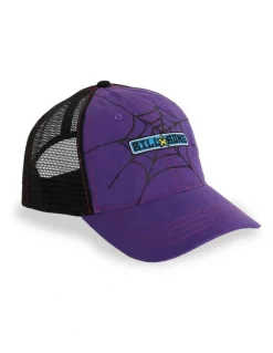 Billabong Web Trucker Cap in Multi