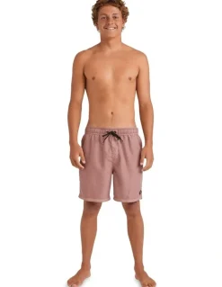 Billabong All Day Overdye Layback Boardshorts In Dusty Rose