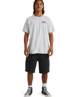 Billabong Aus Arch T-Shirt Light Grey Heather