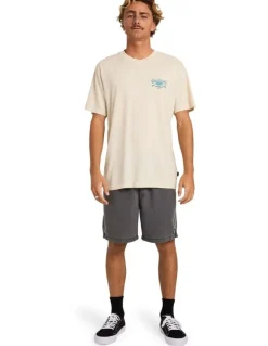 Billabong Heritage Arch Premium T-Shirt in Oatmeal