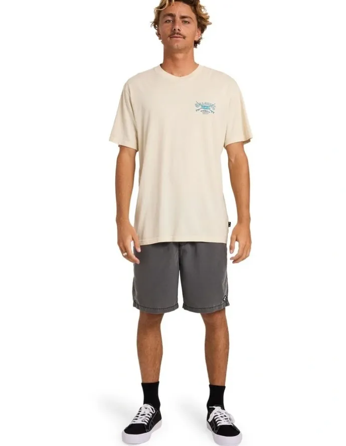Billabong Heritage Arch Premium T-Shirt in Oatmeal