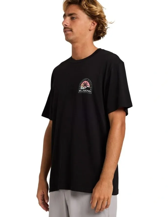 Billabong Sun Down Adiv Premium T-Shirt in Black