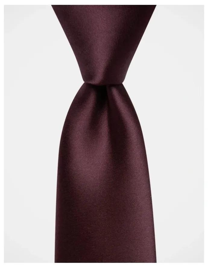 Blaq Core Poly Tie in Burgundy