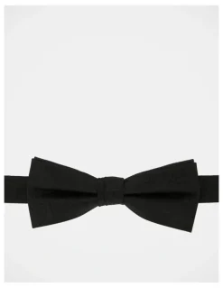 Blaq Paisley Bow Tie in Black