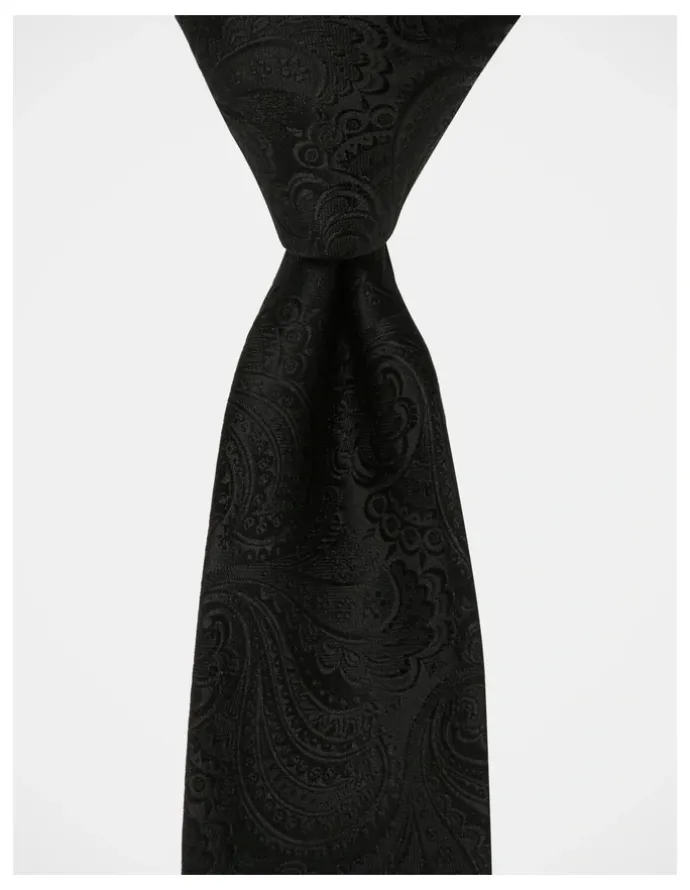 Blaq Paisley Tie in Black
